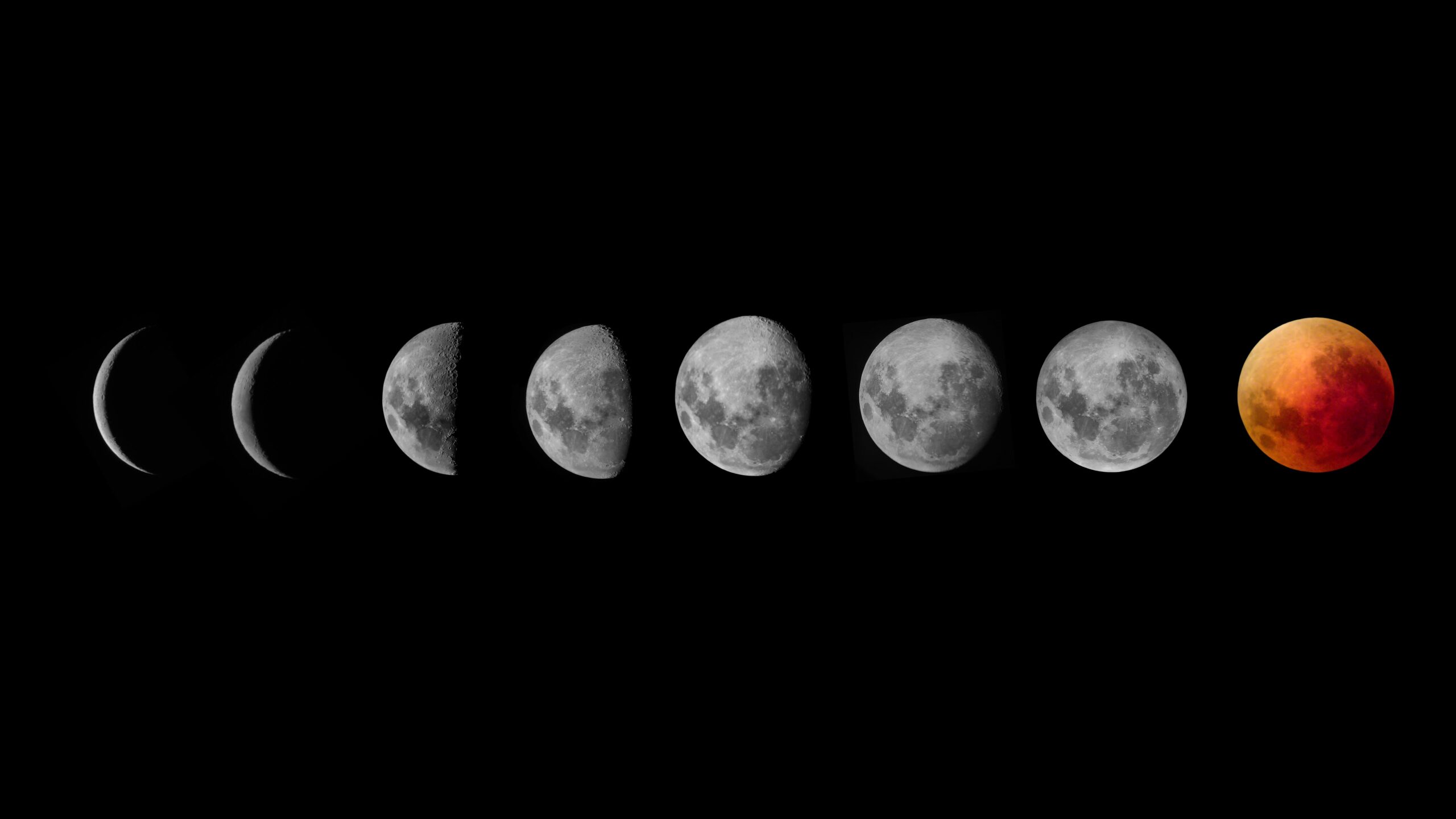 Lunar Phases